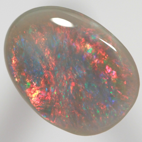 SOLID SEMI BLACK OPAL Brigh reds over blues SEE VIDEO
